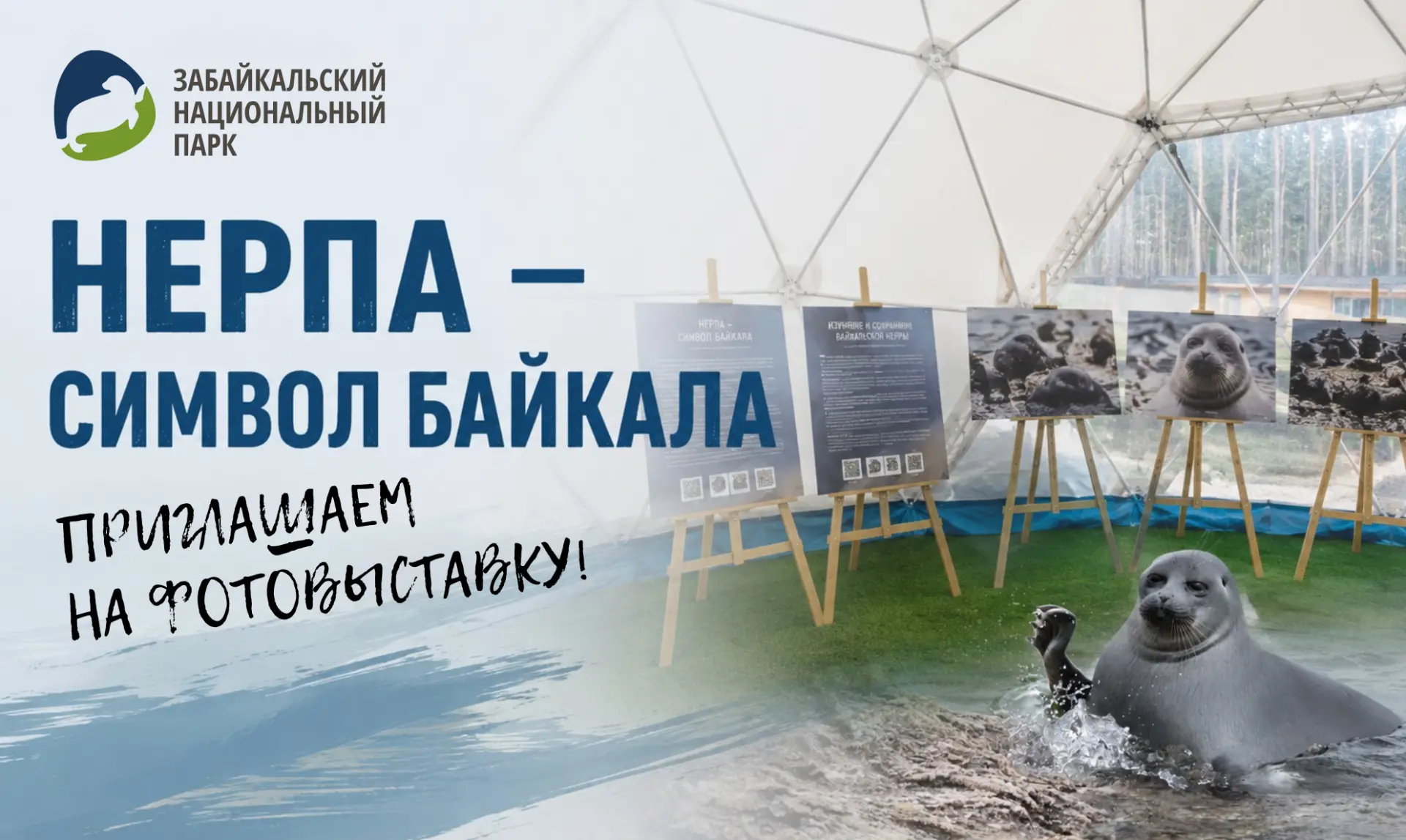 А вы когда-нибудь смотрели на Ушканьи острова глазами учёных?