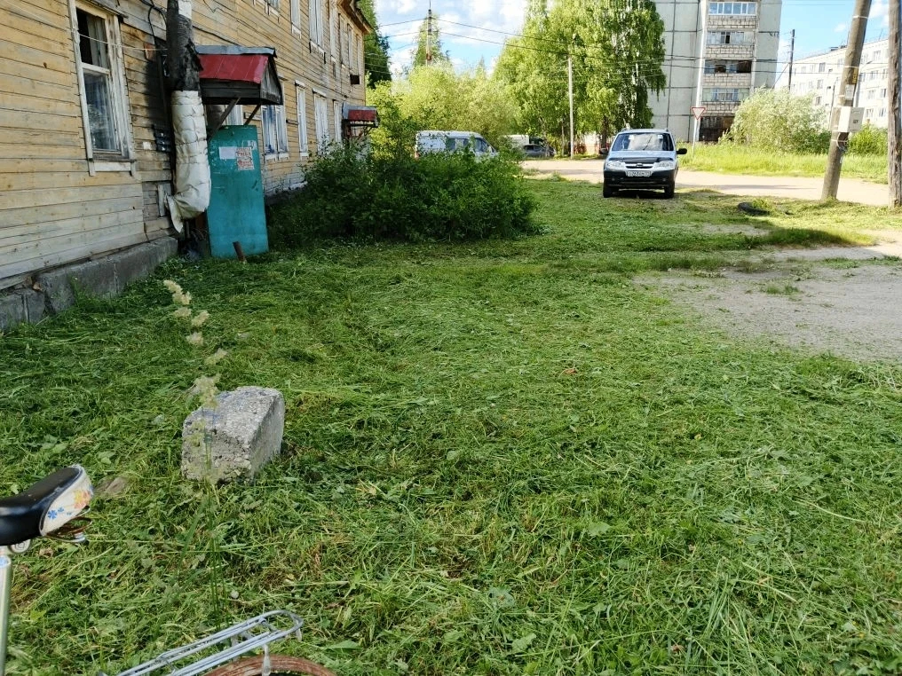 🌱Зеленый и аккуратный двор!

ЖЭУ-4 продолжают проводить работы по покосу травы на придомовых террит