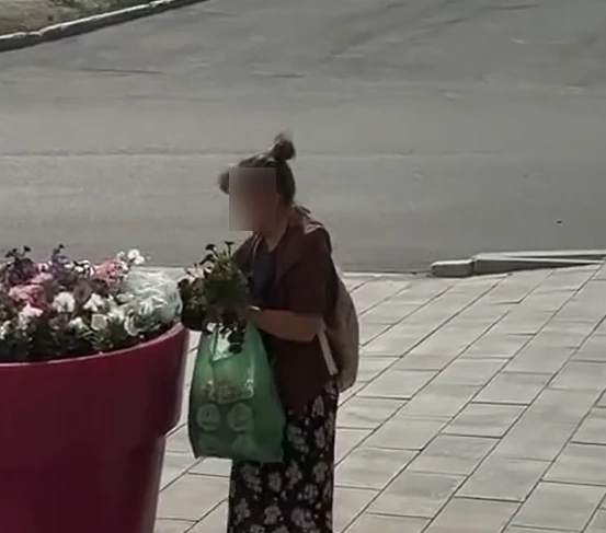 В Новом Уренгое женщина выкапывала цветы прямо из клумб