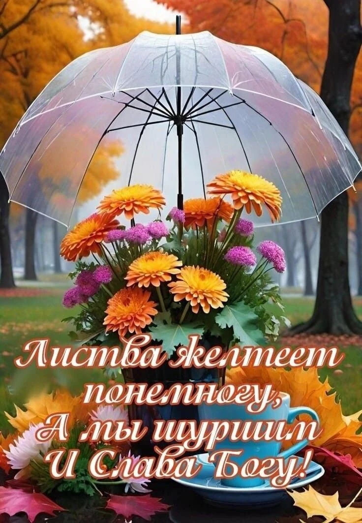 🧡🧡🧡