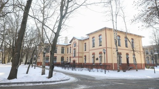 Новорождённых близнецов из Ленобласти доставили в Петербург для лечения