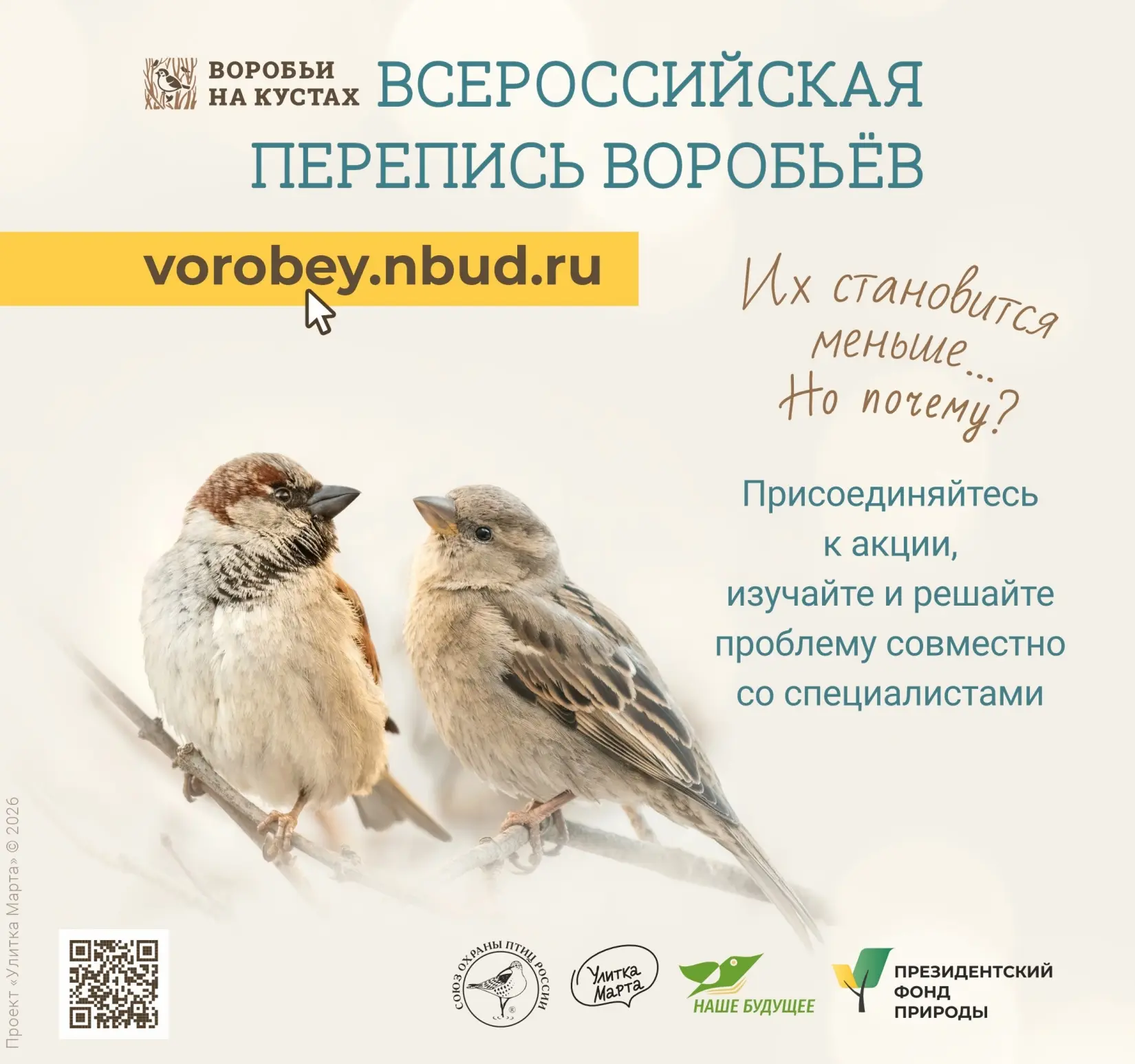 Вы когда-нибудь считали воробьёв на ветке? 🐦‍⬛