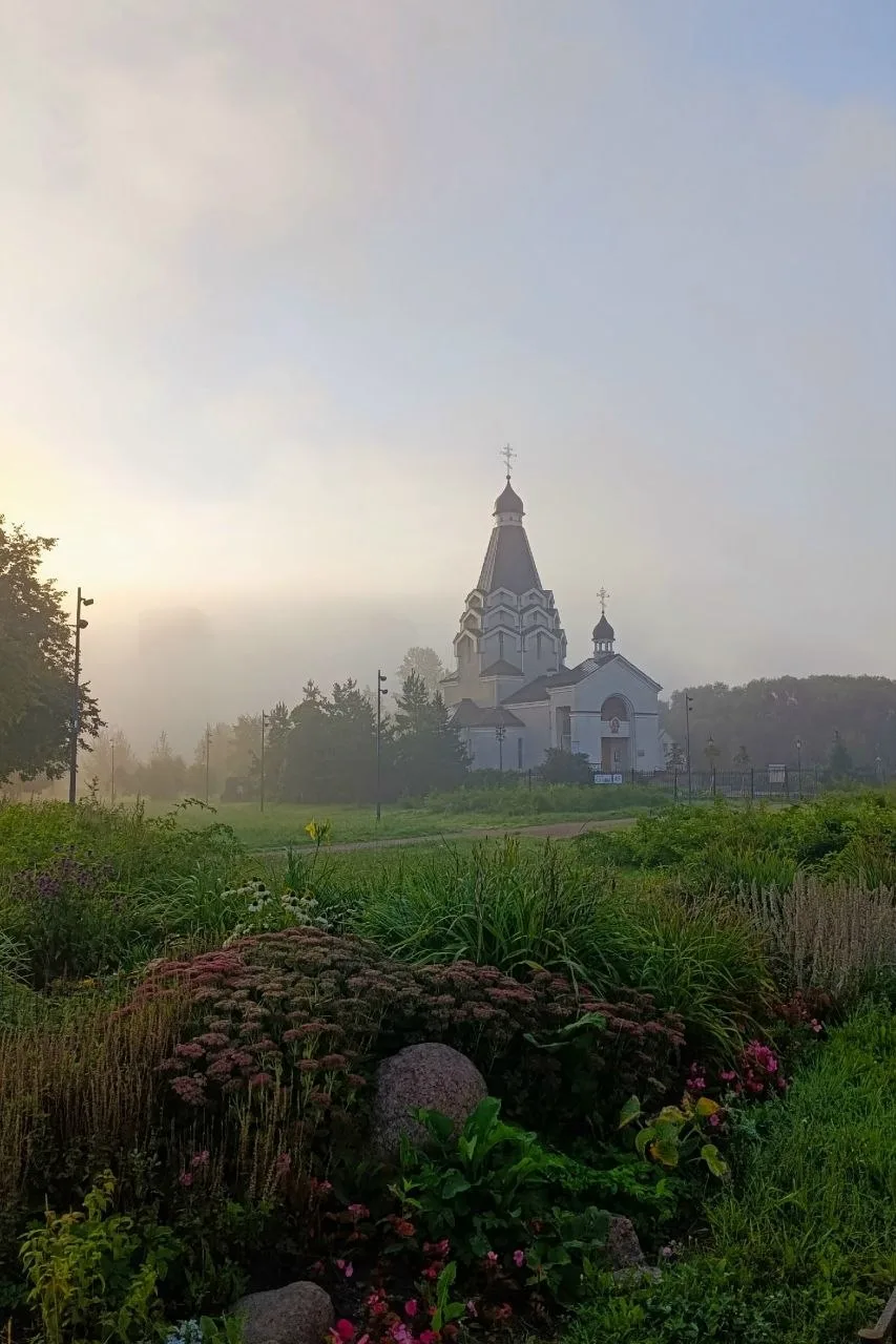 Раннее утро в Купчино😊