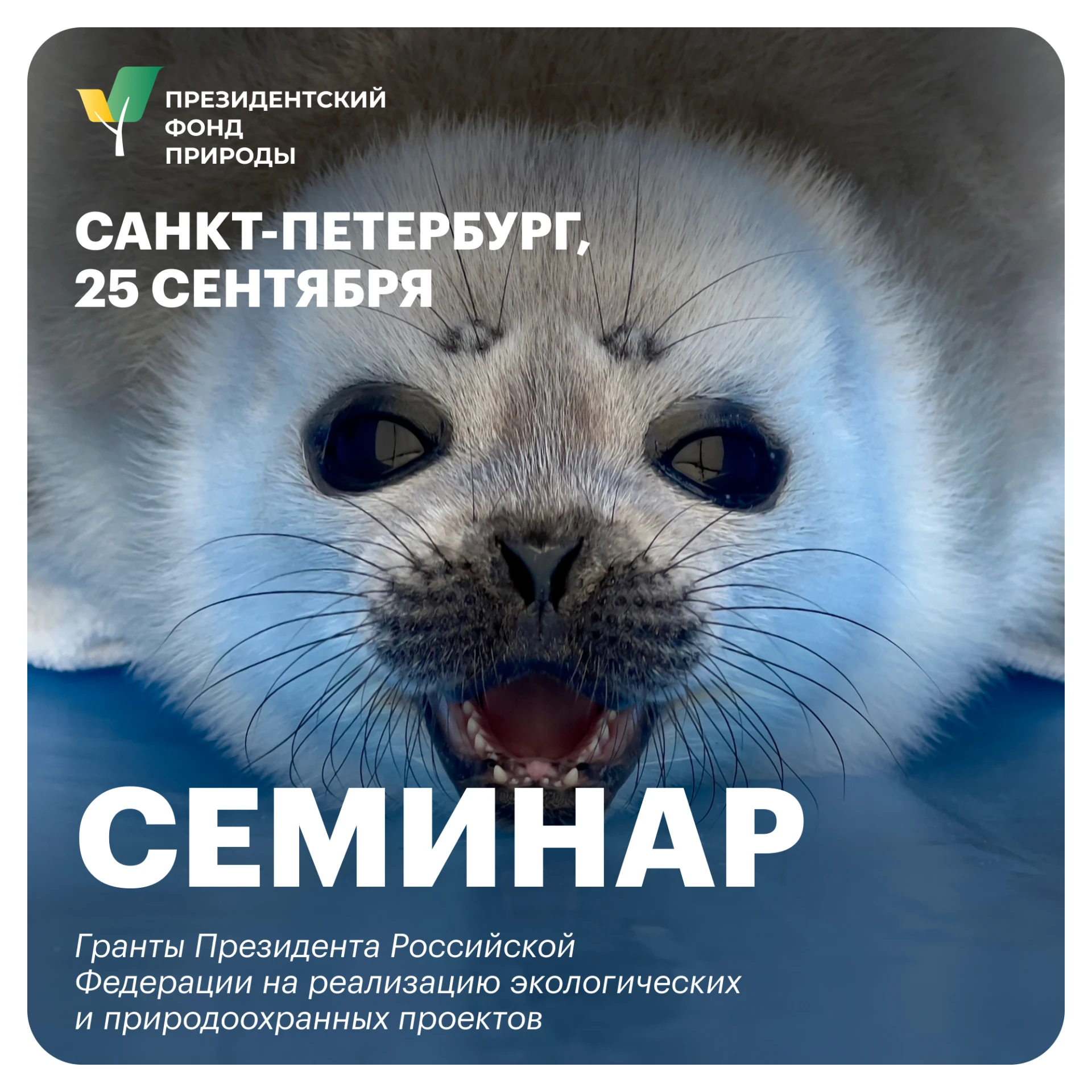Семинар Президентского фонда природы в Санкт-Петербурге