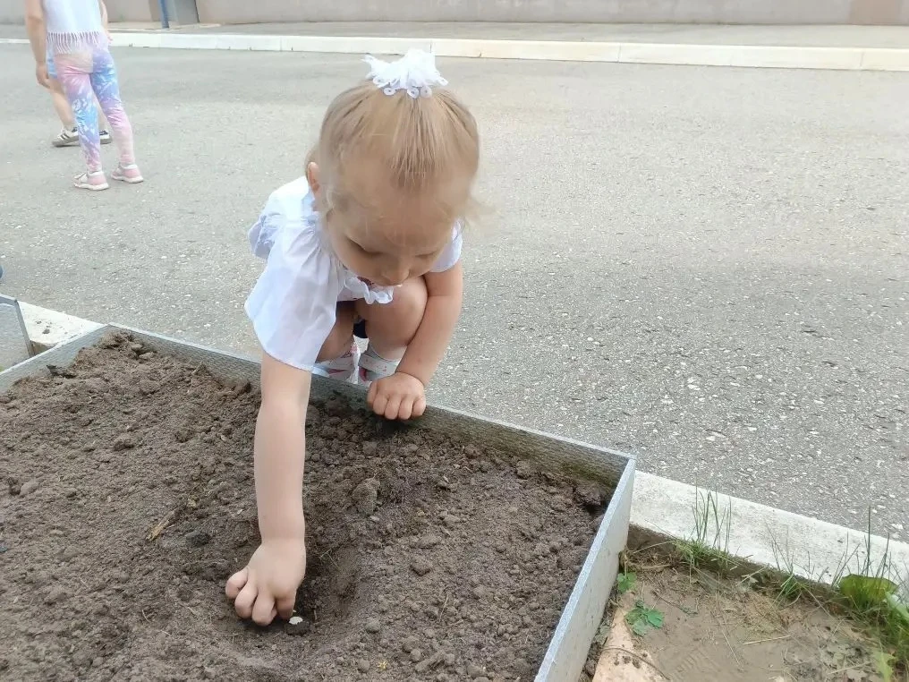Малыши из групп "Капелька" 💧💧💧 и "Солнышко" 🌞 на этой неделе посадили огород 🌱 мал...