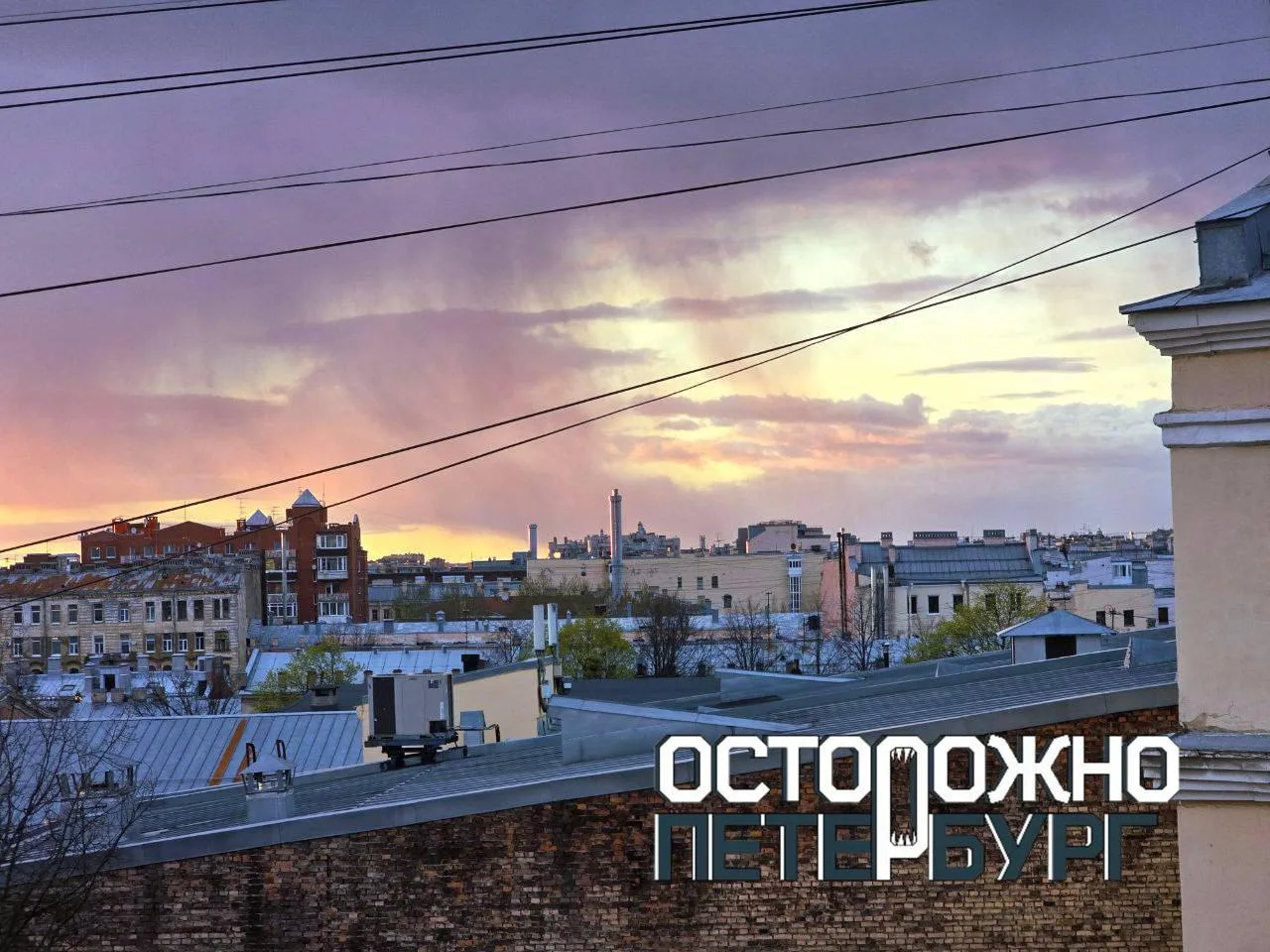 Грибной дождь ожидается в Петербурге сегодня.