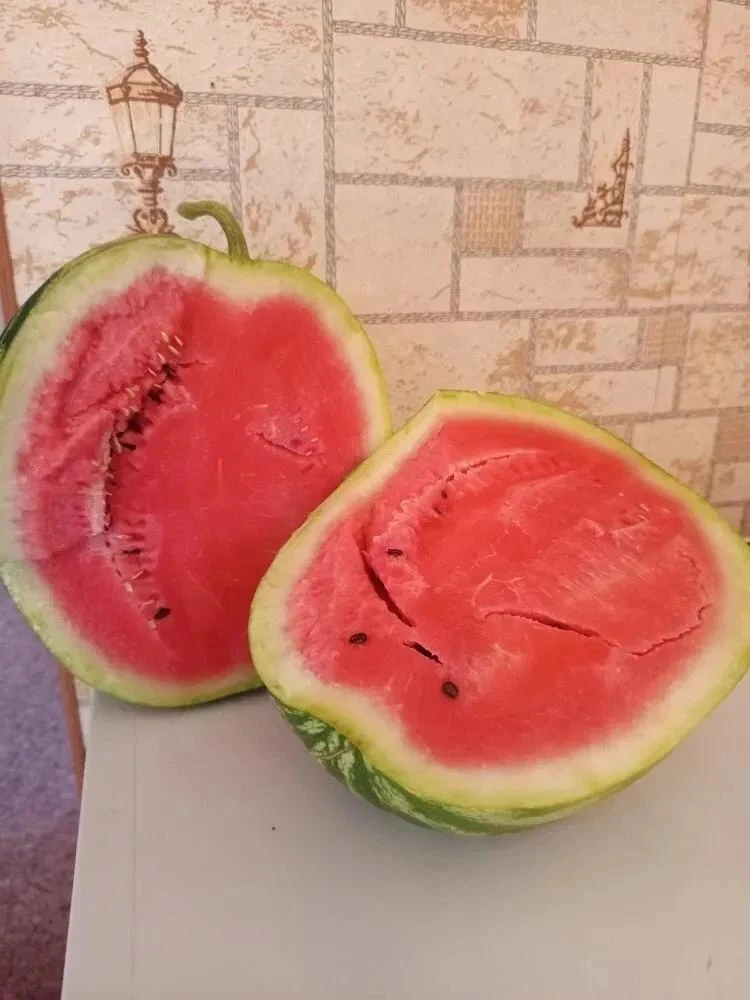 "Вот такая у нас красота !!! Сибирские арбузы! 🍉 Они очень сладкие и ароматные", - пиш...