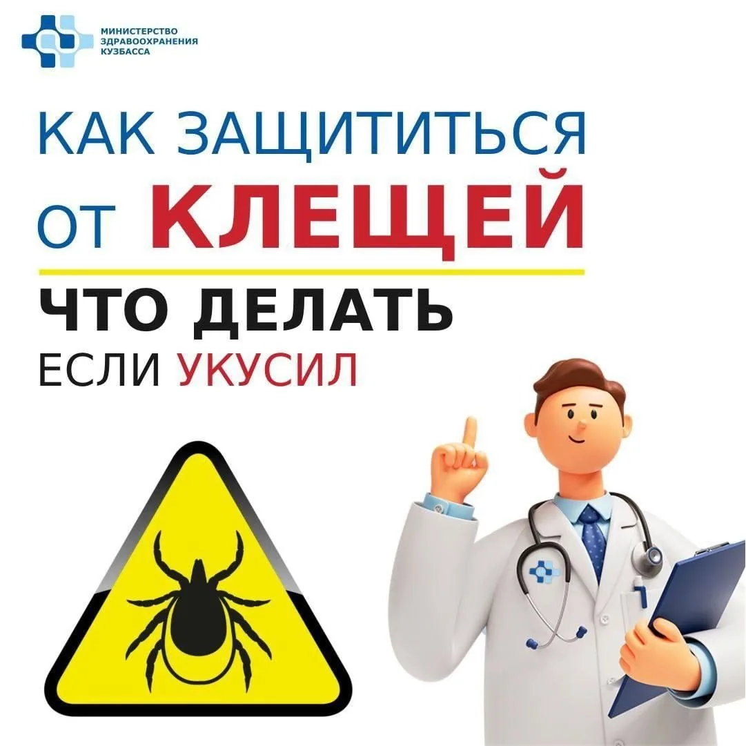 🕷Активность клещей в Кузбассе не снижается с приходом осени.Как защититься и что делат...