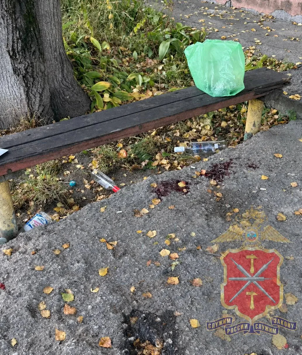 ❗️Конфликт между мужчинами во дворе Алексина закончился трагедией