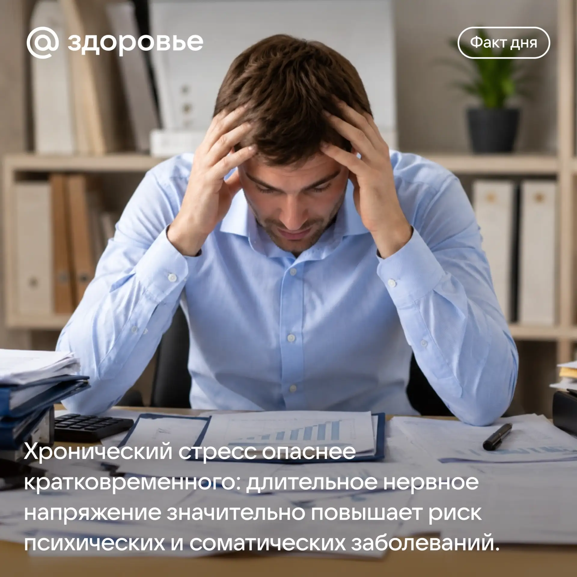 Хорошего дня и полноценного отдыха! 🙌