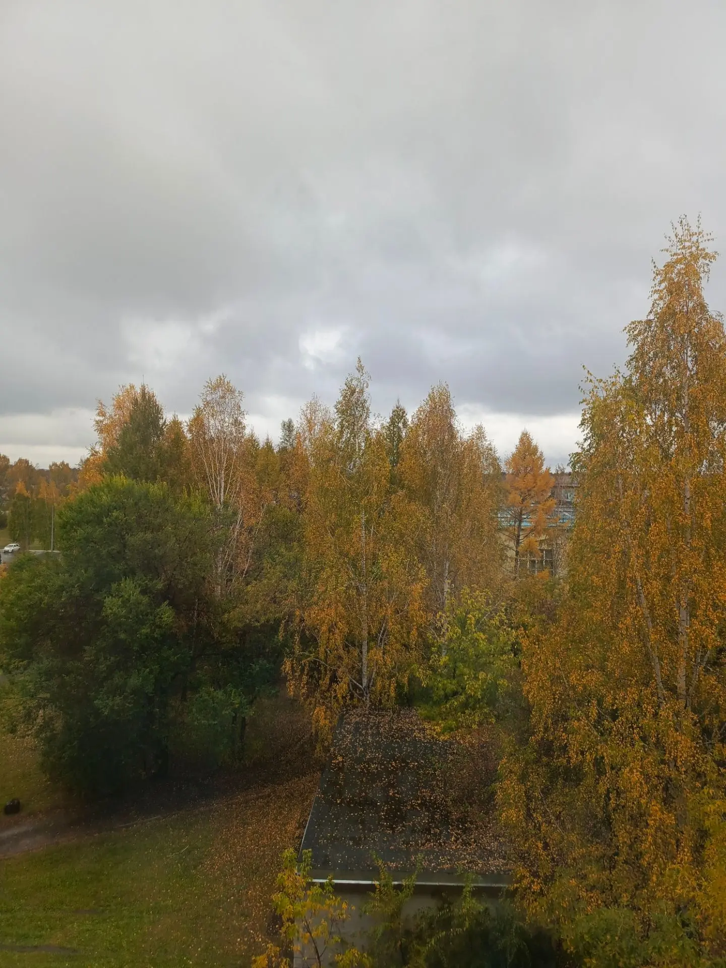 За окном льёт дождь ☔