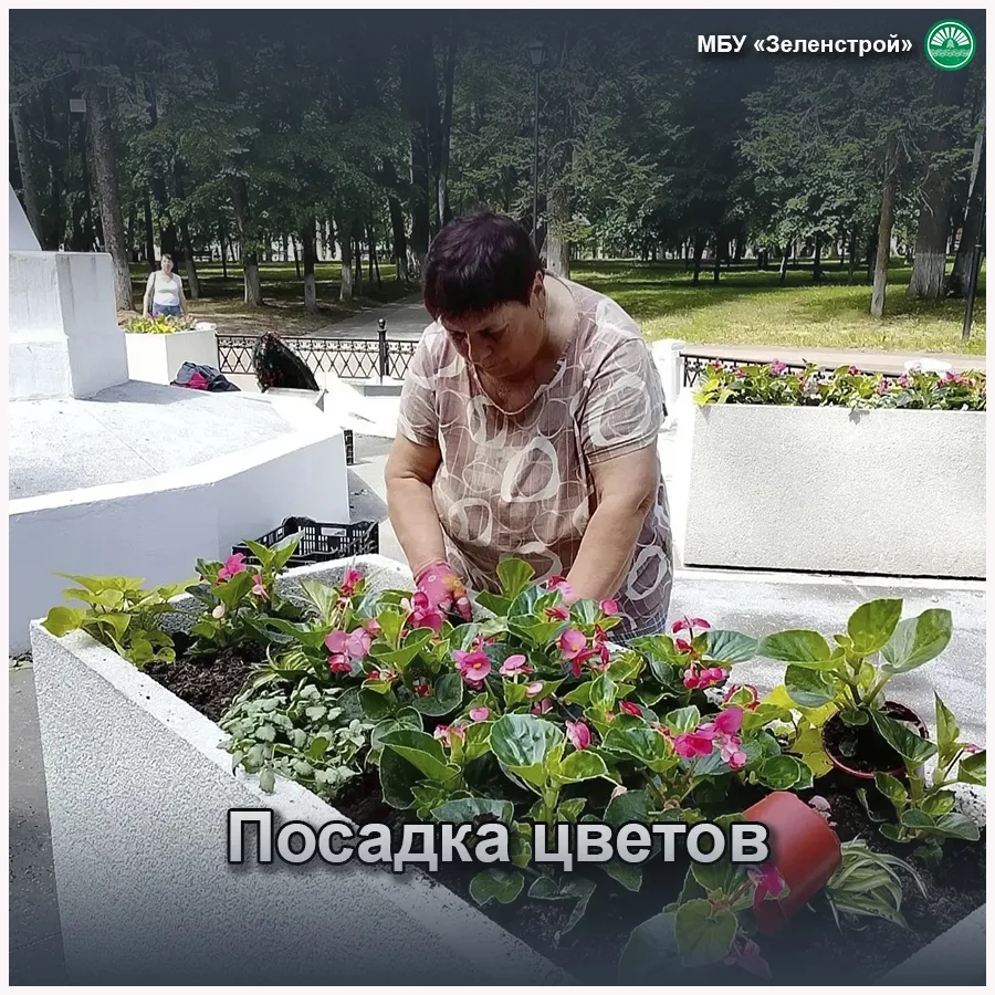 Продолжаем работы по посадке цветов в скверах и парках! На фото: