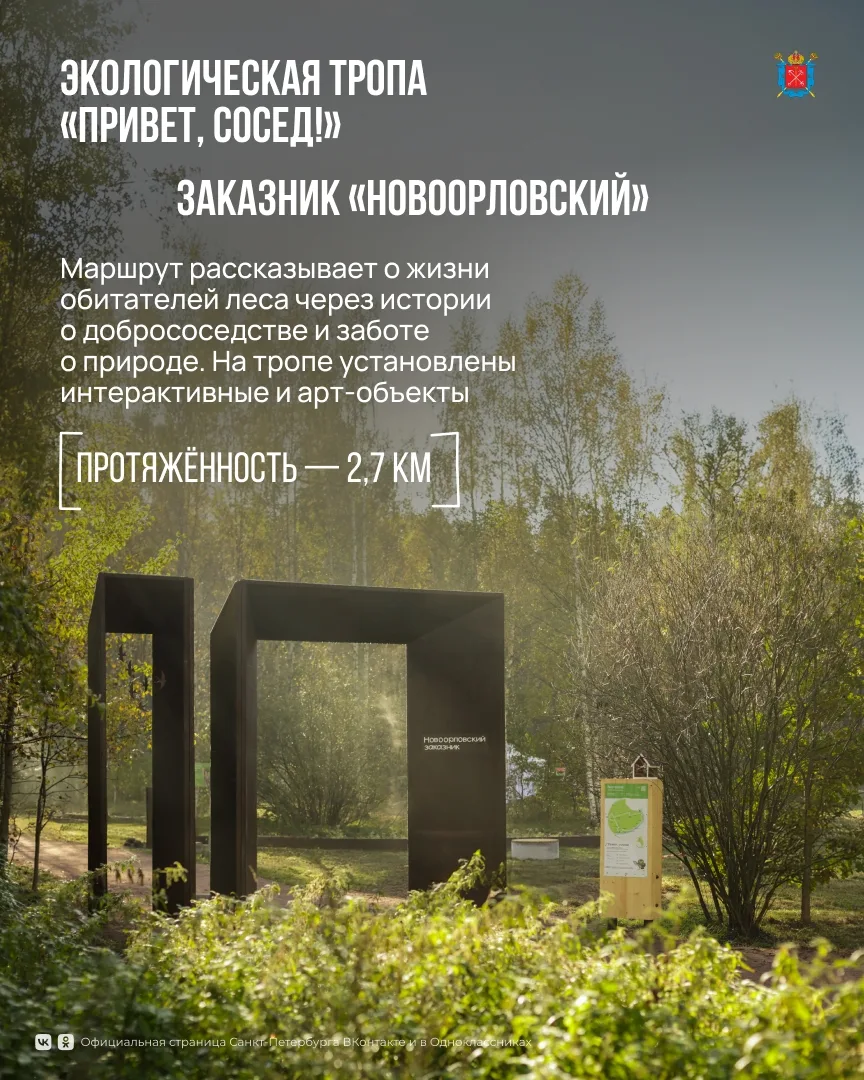 Экологические тропы Петербурга — отличный способ познакомиться с природой города и открыть для себя 