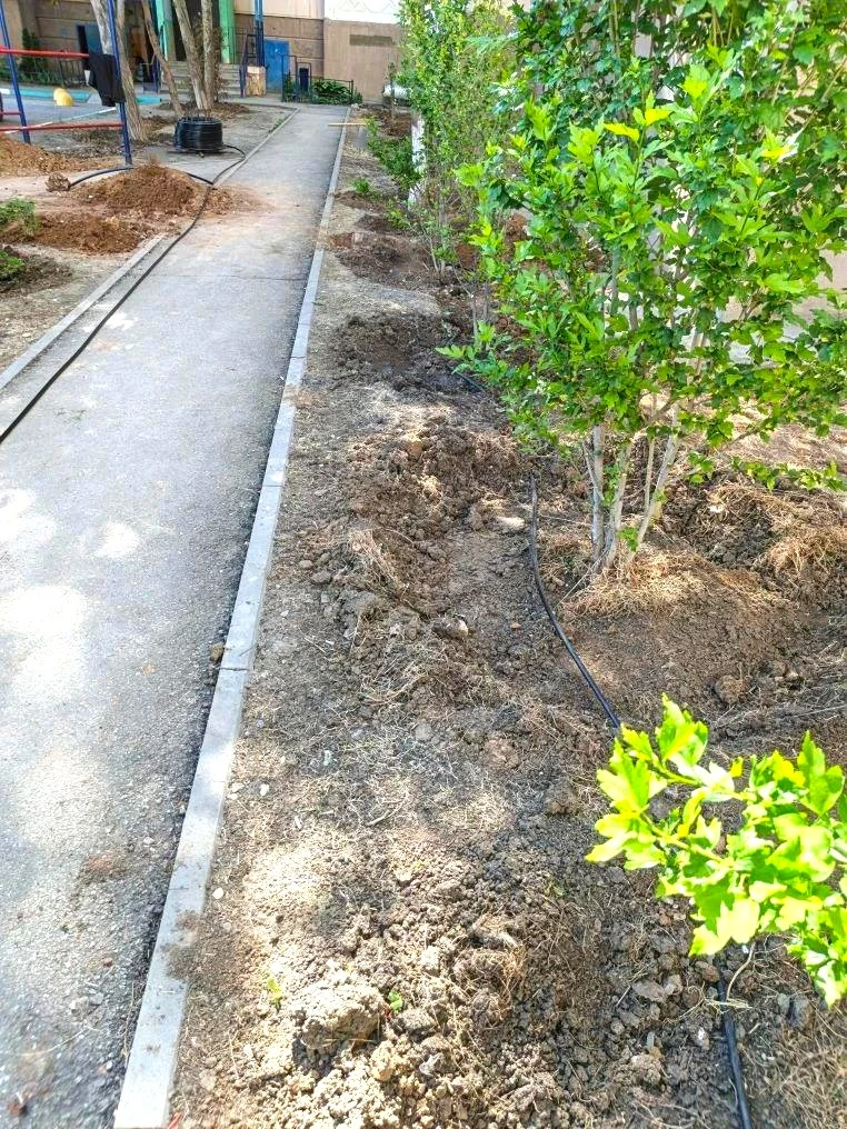 К новости «🌳 Сохраняем красоту и свежесть зеленых насаждений!»