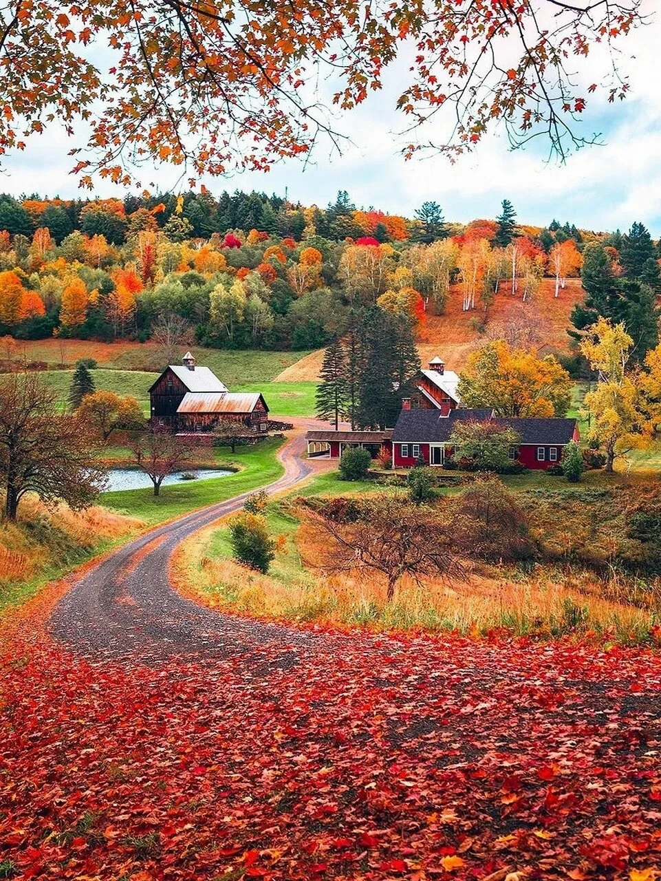Волшебные краски осени в штате Вермонт, США.🍁🍂