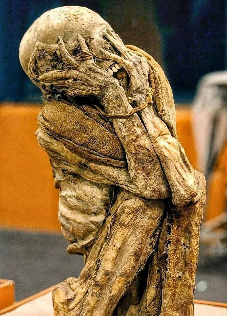 Мумия чачапоя ("воинов облаков") в одном из перуанских музеев, 900-1500 гг. н.э.