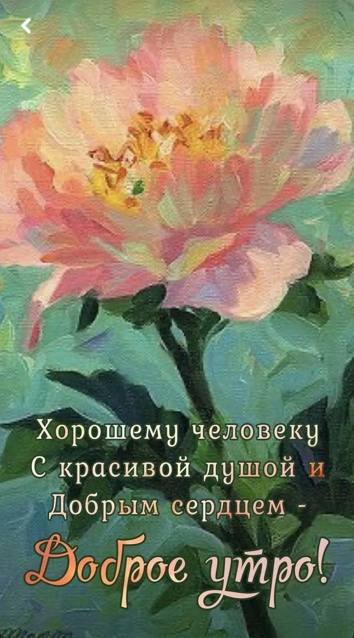 #ДоброеУтро 🌺