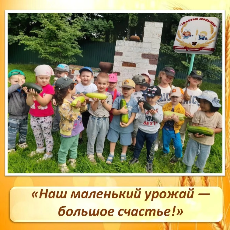 Наш маленький урожай — большое счастье!

Сегодня наши маленькие воспитанники плодотворно потрудились