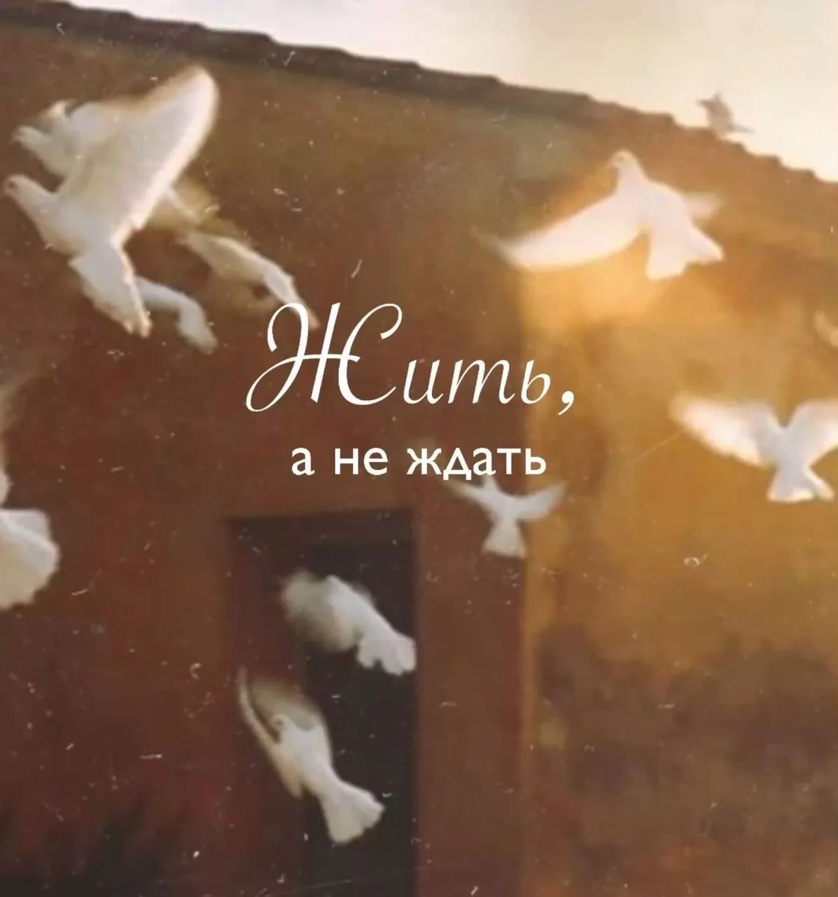 С добрым утром🩵