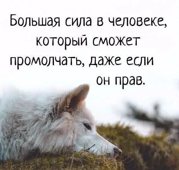 Смысл в каждой фразе — Подпишись