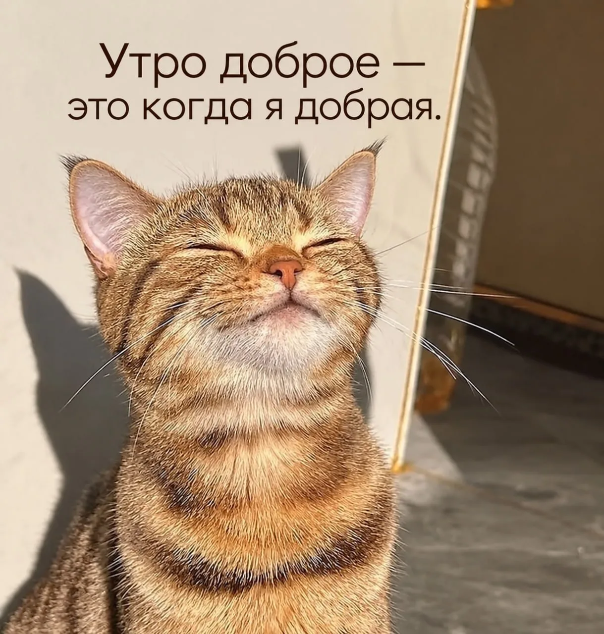 Не утро, а мечта 😌