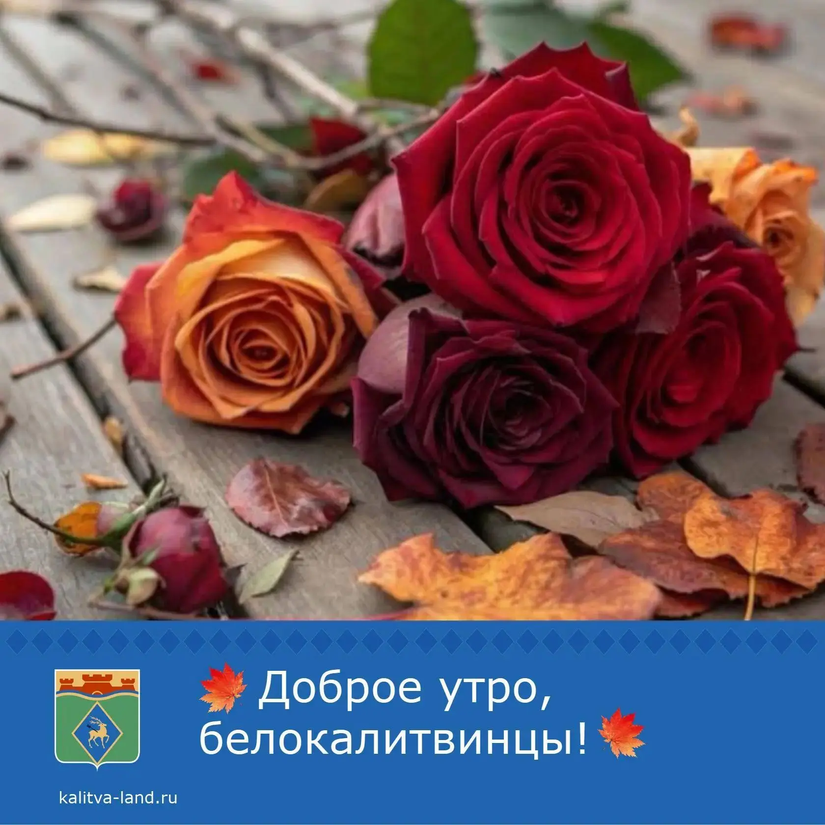 ☀️ Доброе утро, белокалитвинцы!