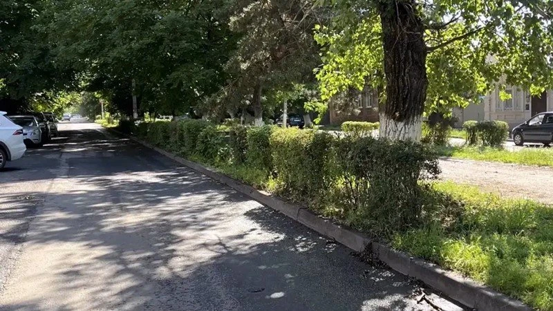 В Новочеркасске подрядчик постриг, наконец, кусты вдоль дороги на улицах Дубовского и П...