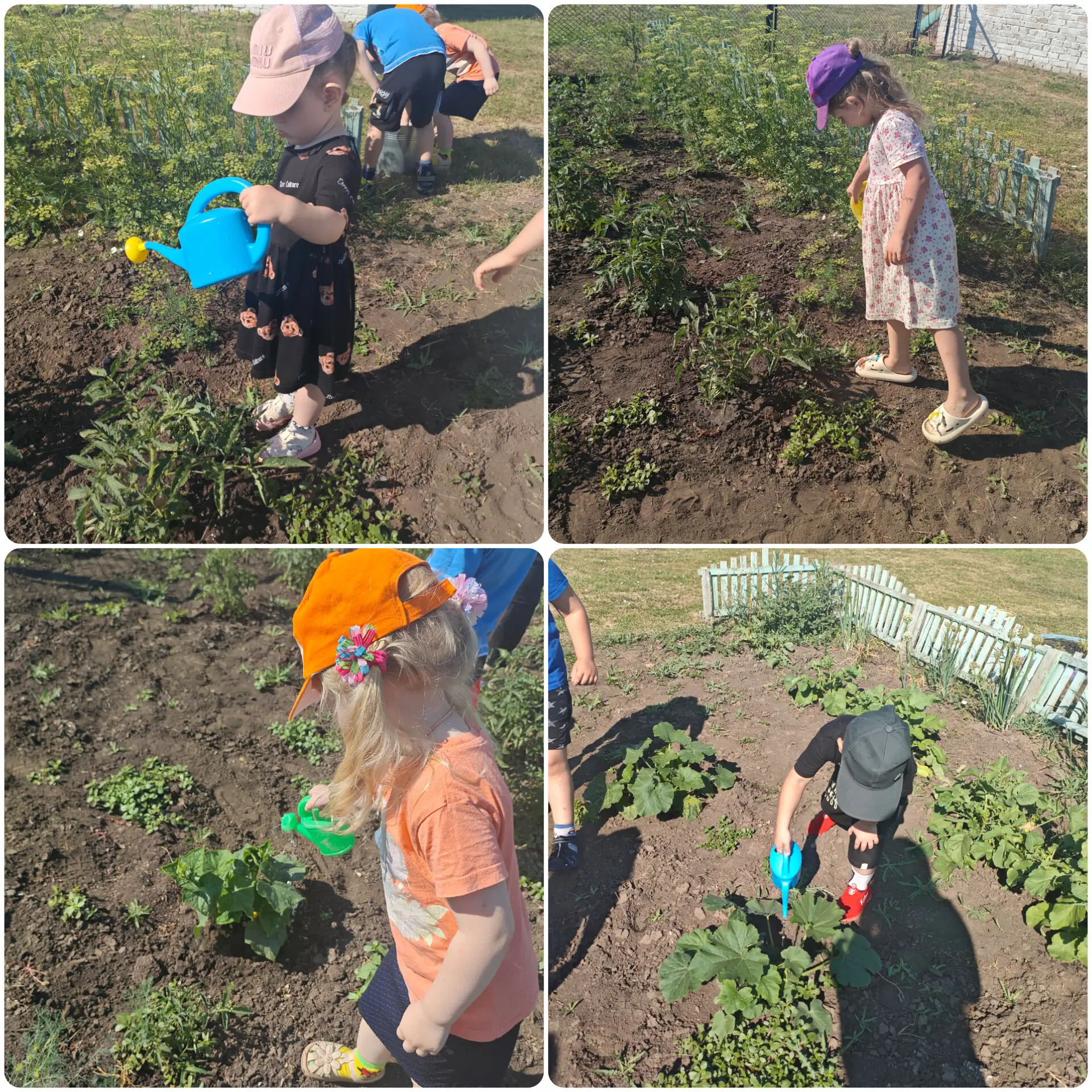 🌱 Наш маленький огород — большая радость!

В ГБДОУ ЛНР «Ясли-сад «Колокольчик» кипит работа! Сегодн