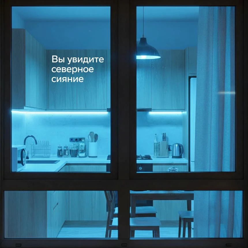 Это была обычная среда, и мы развлекались как могли 🦩
