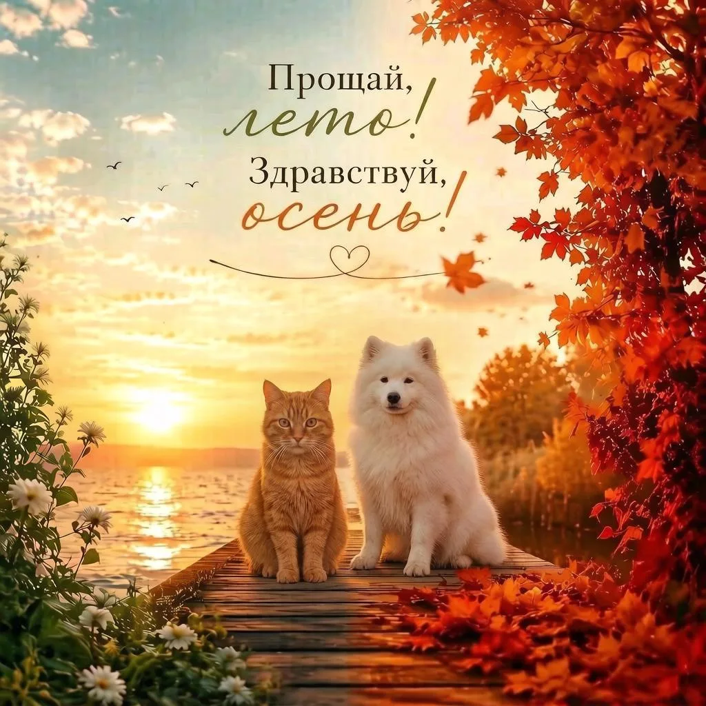 #осень #лето