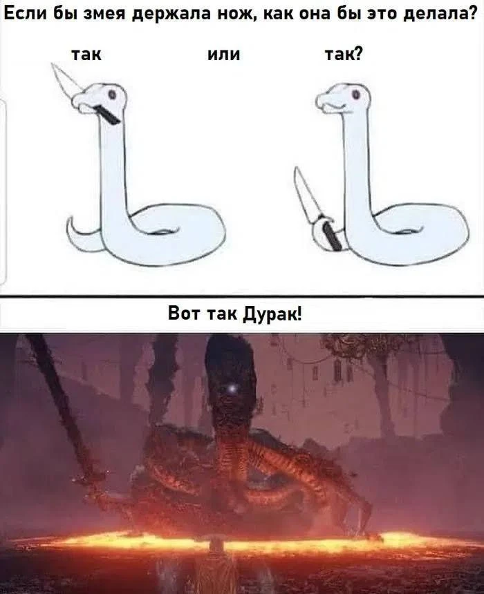 База 💪