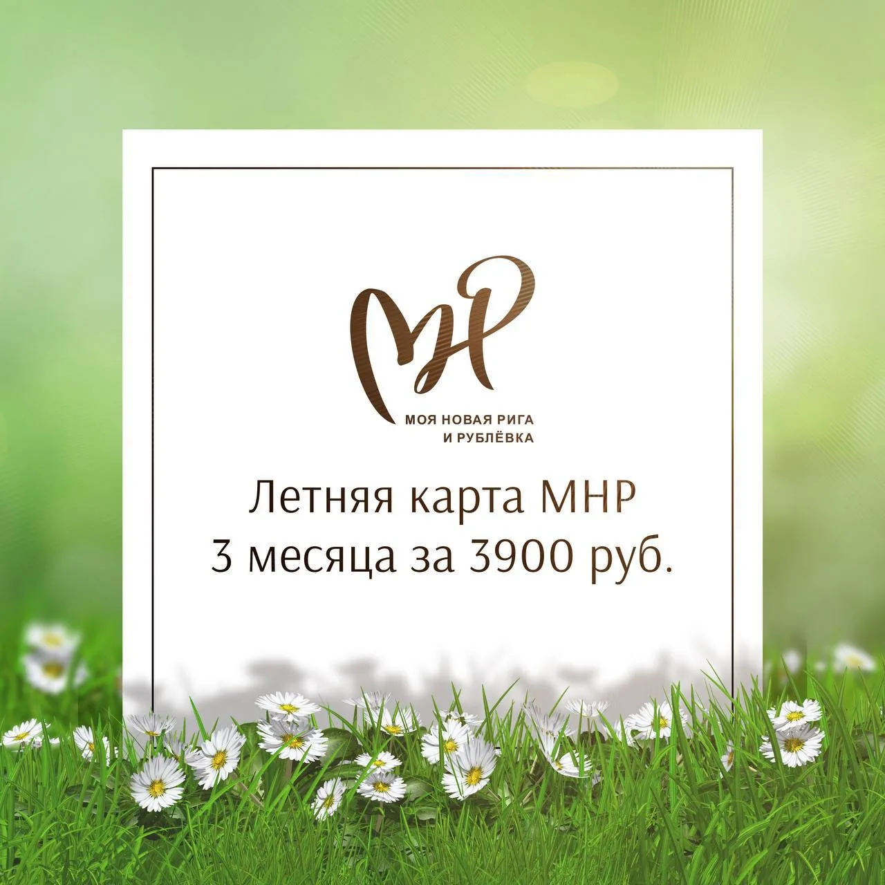 💚Летняя карта  Моя Новая Рига - 3 месяца за 3900!
➡️Акция до 16 июня включительно! 

☀️ Проведите л