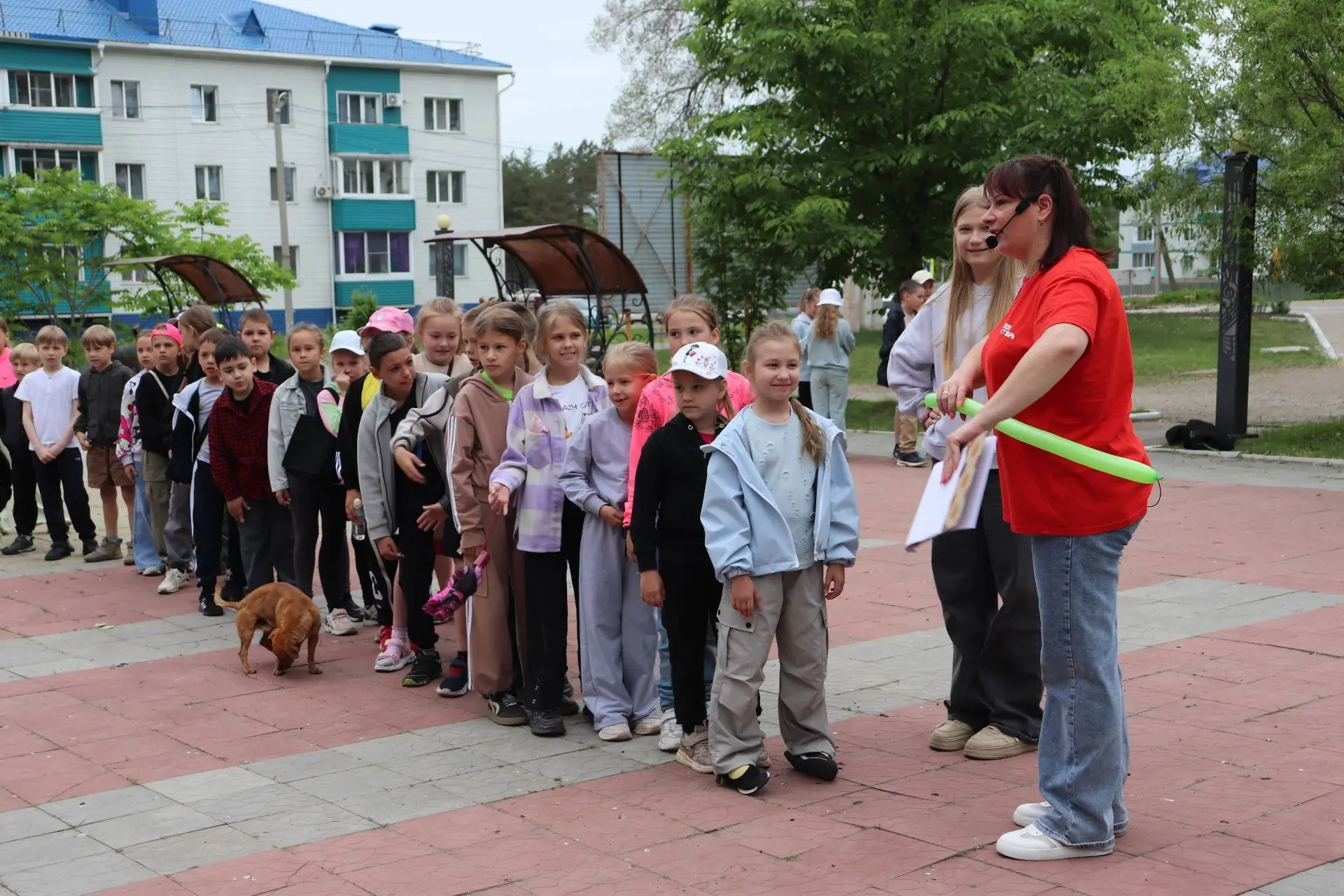 «Летняя карусель»