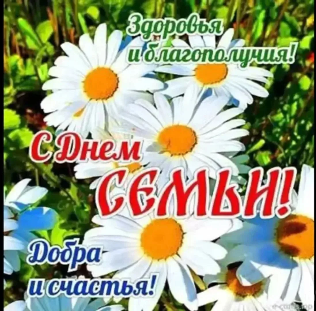 Как ромашка раскрывает лепестки на лугу, раскрылся сегодня перед детьми детского сада "...