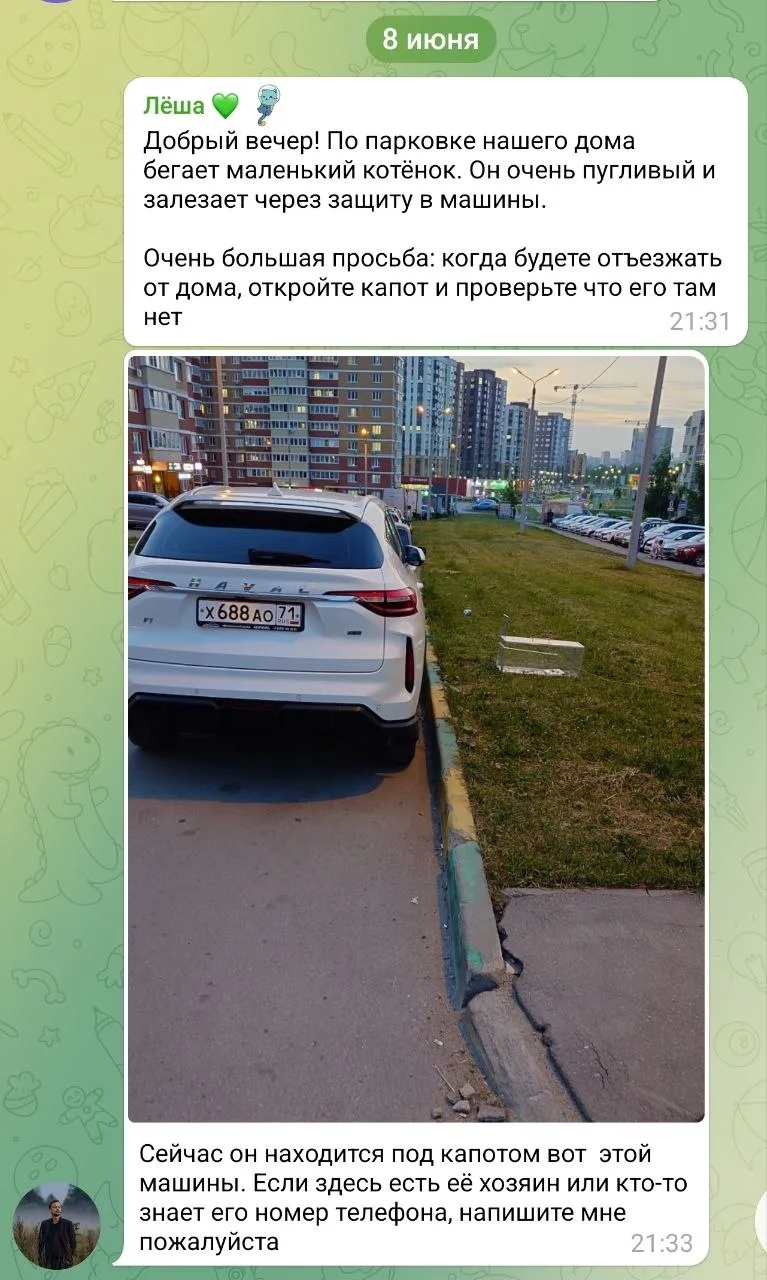 Трагедия в трёх актах

У котьки украли свободу, право убиться в движке автомобиля и неограниченные в