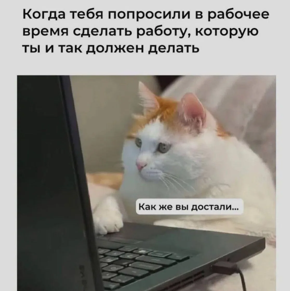 Ну мы же? 😁😏

Извините МАХ 🙏

Извините ТГ ✅

ЧАТ канала 💭💬