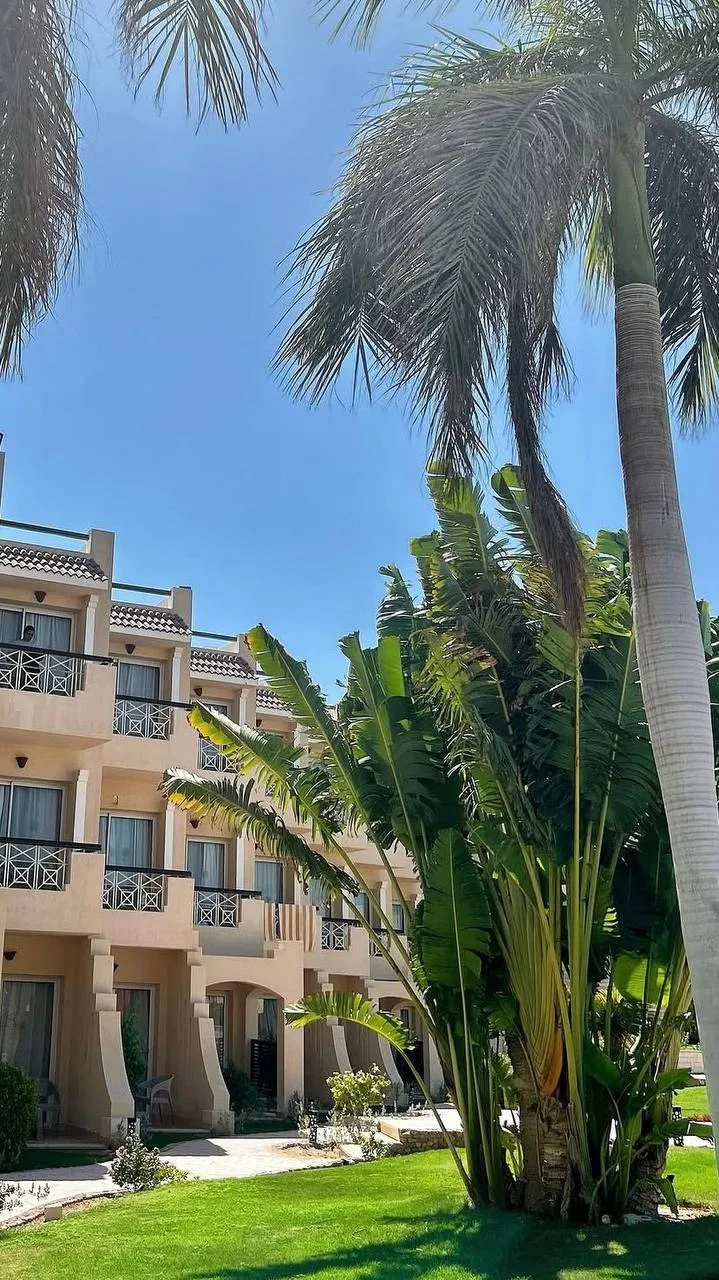 🌴Доступный отель в Шарм-эль-Шейхе с хорошим коралловым рифом только для взрослых!