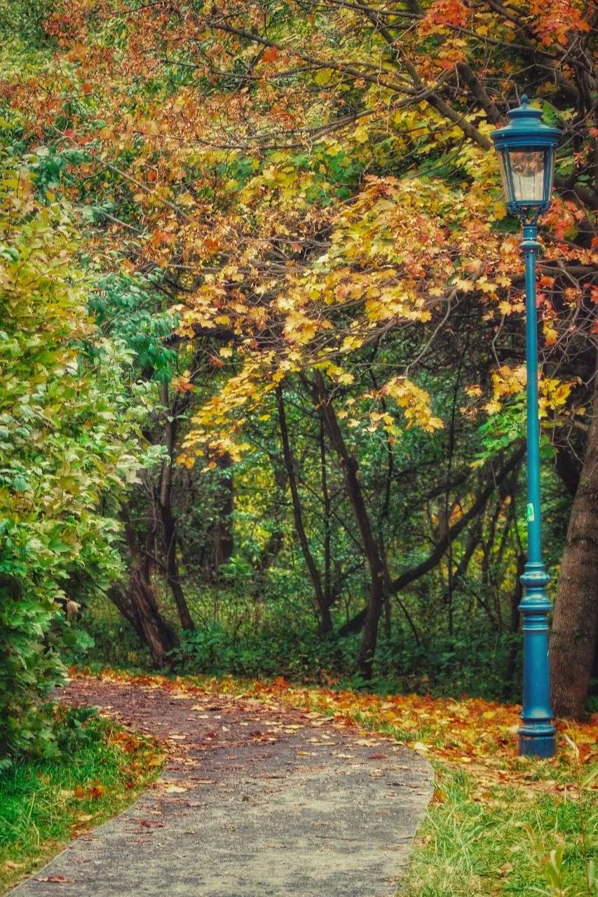 Осень в Коломенском