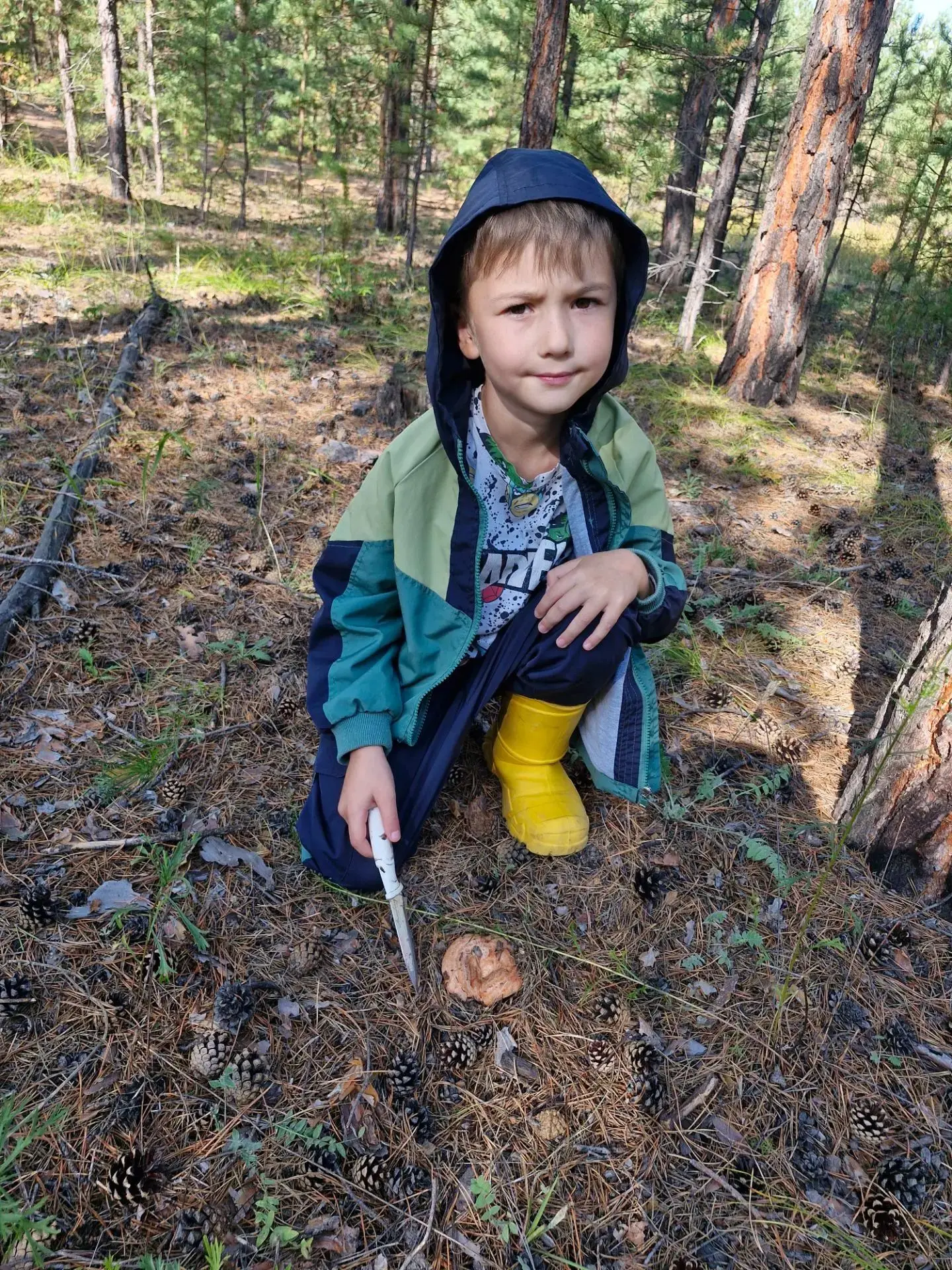 Кто ещё по грибы 🍄‍🟫 сегодня 😃 делитесь