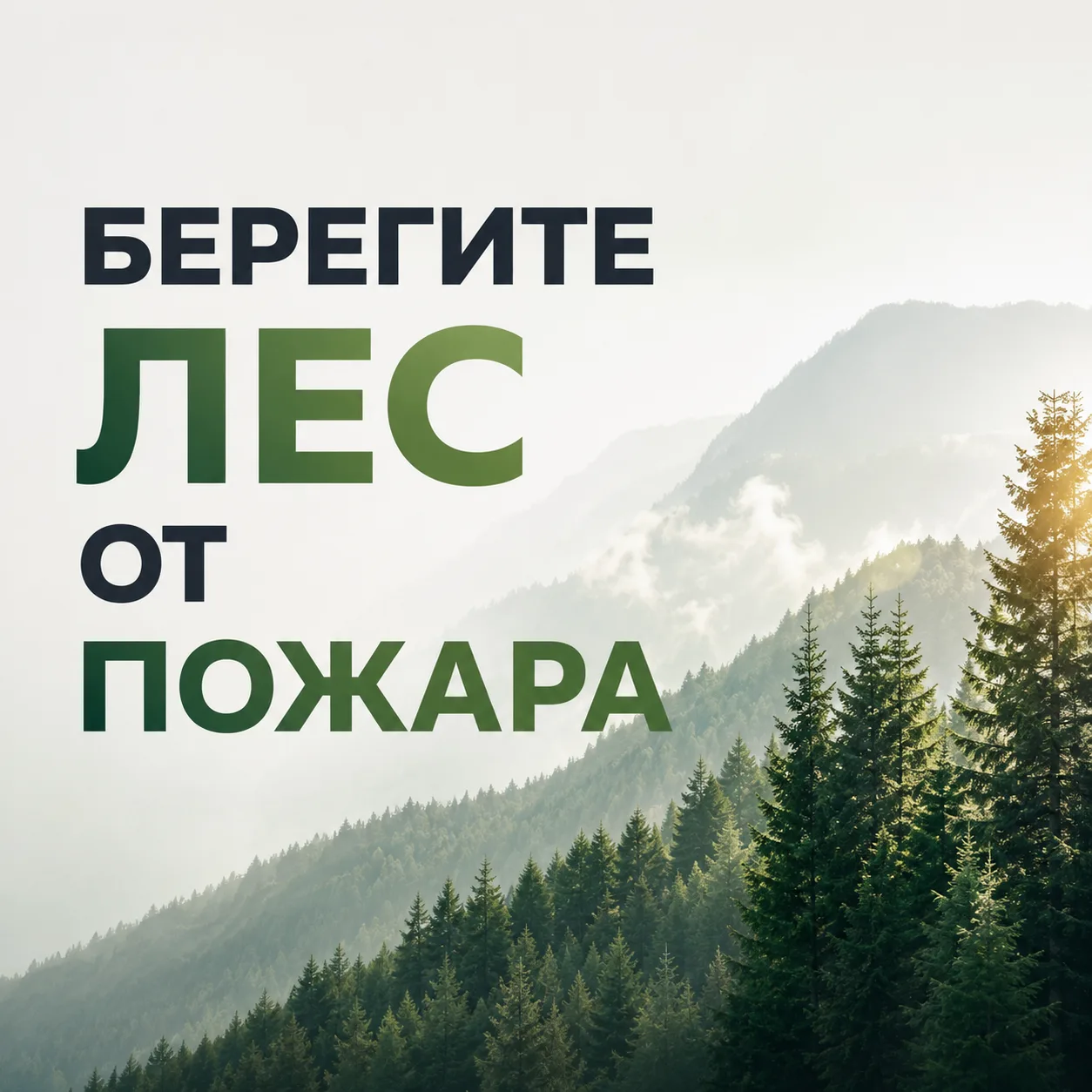 Лесные пожары чаще всего случаются по вине человека. Чтобы защитить природу, повторите ...