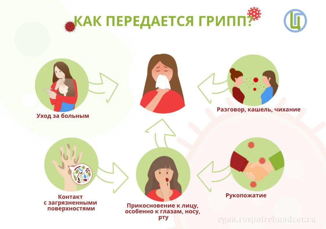 ВАКЦИНАЦИЯ ПРОТИВ ГРИППА