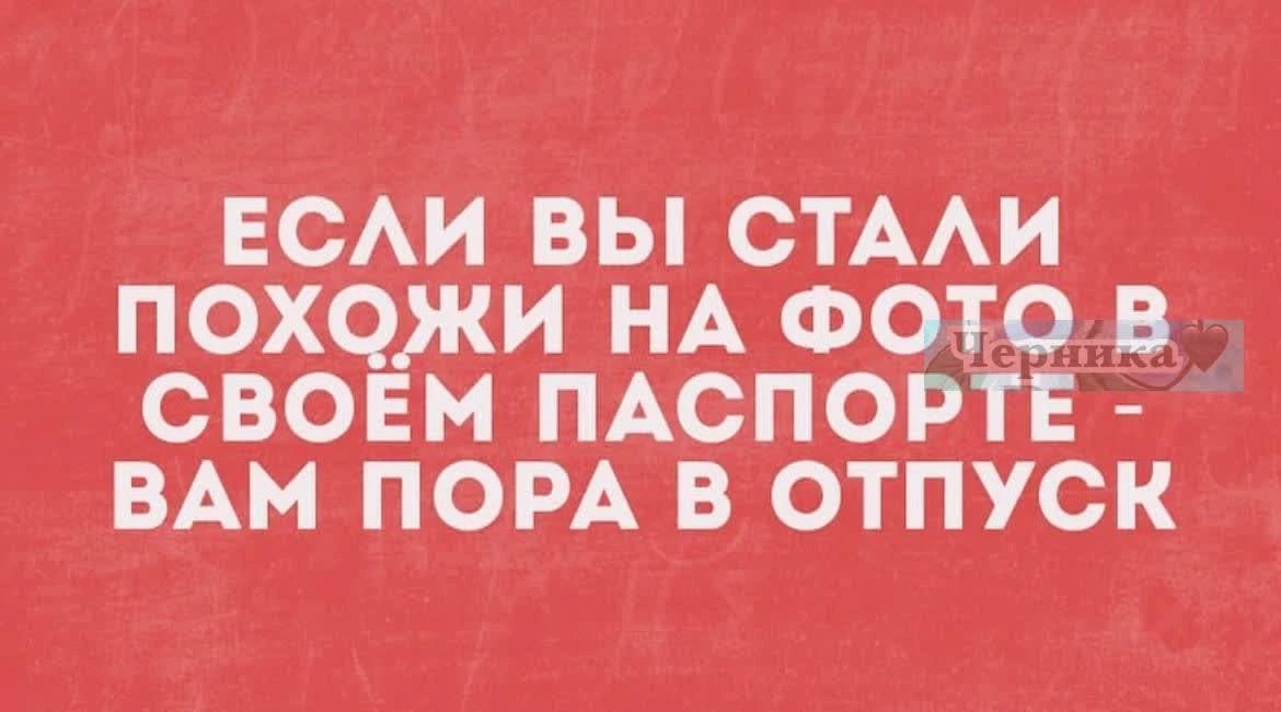 Улыбнись | Юмор