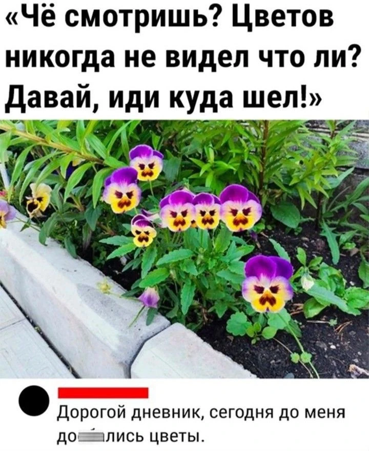 Ахаха)) у меня такие есть)