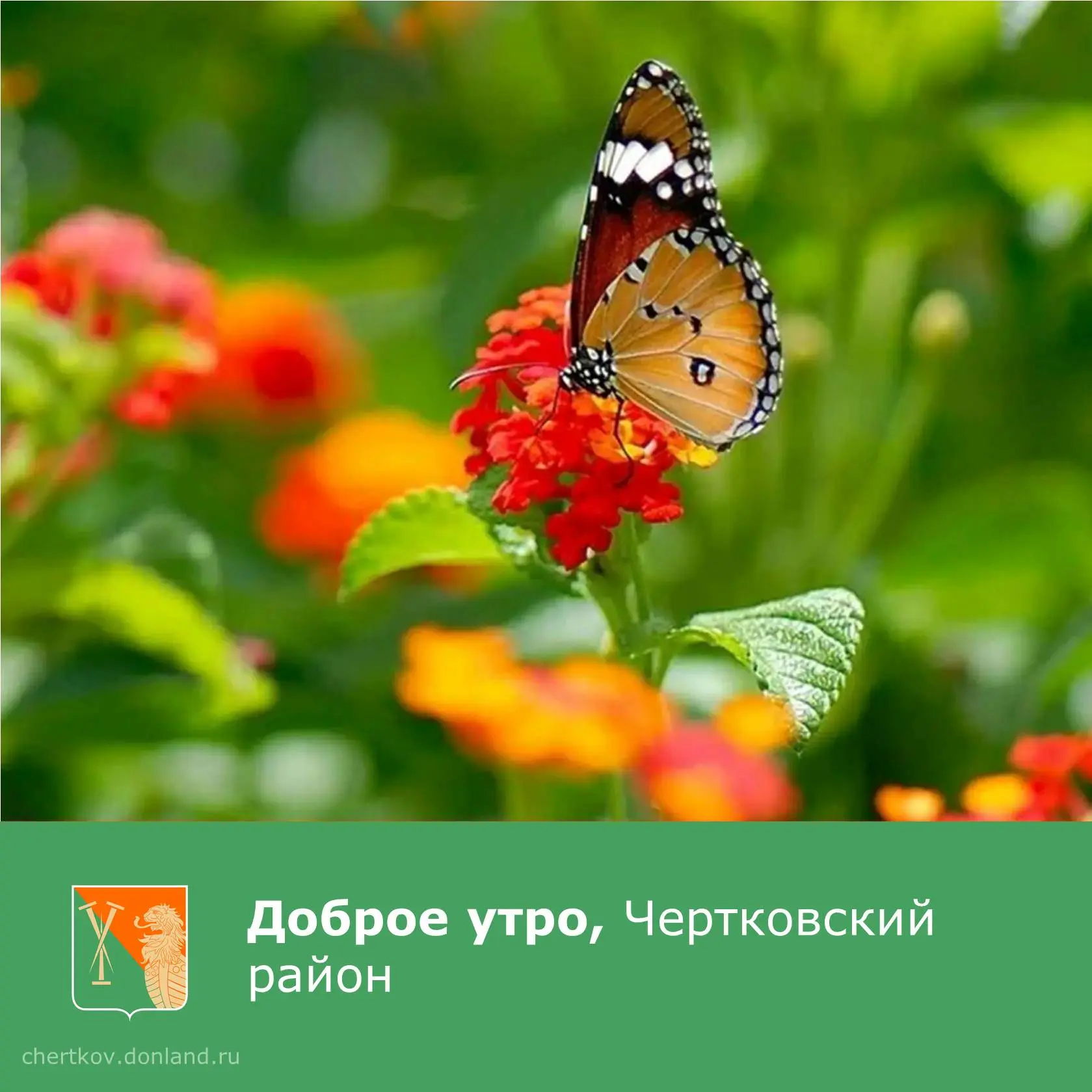 Пусть это утро будет удачным началом яркого и успешного дня. Желаем вам отличного настроения!

_____