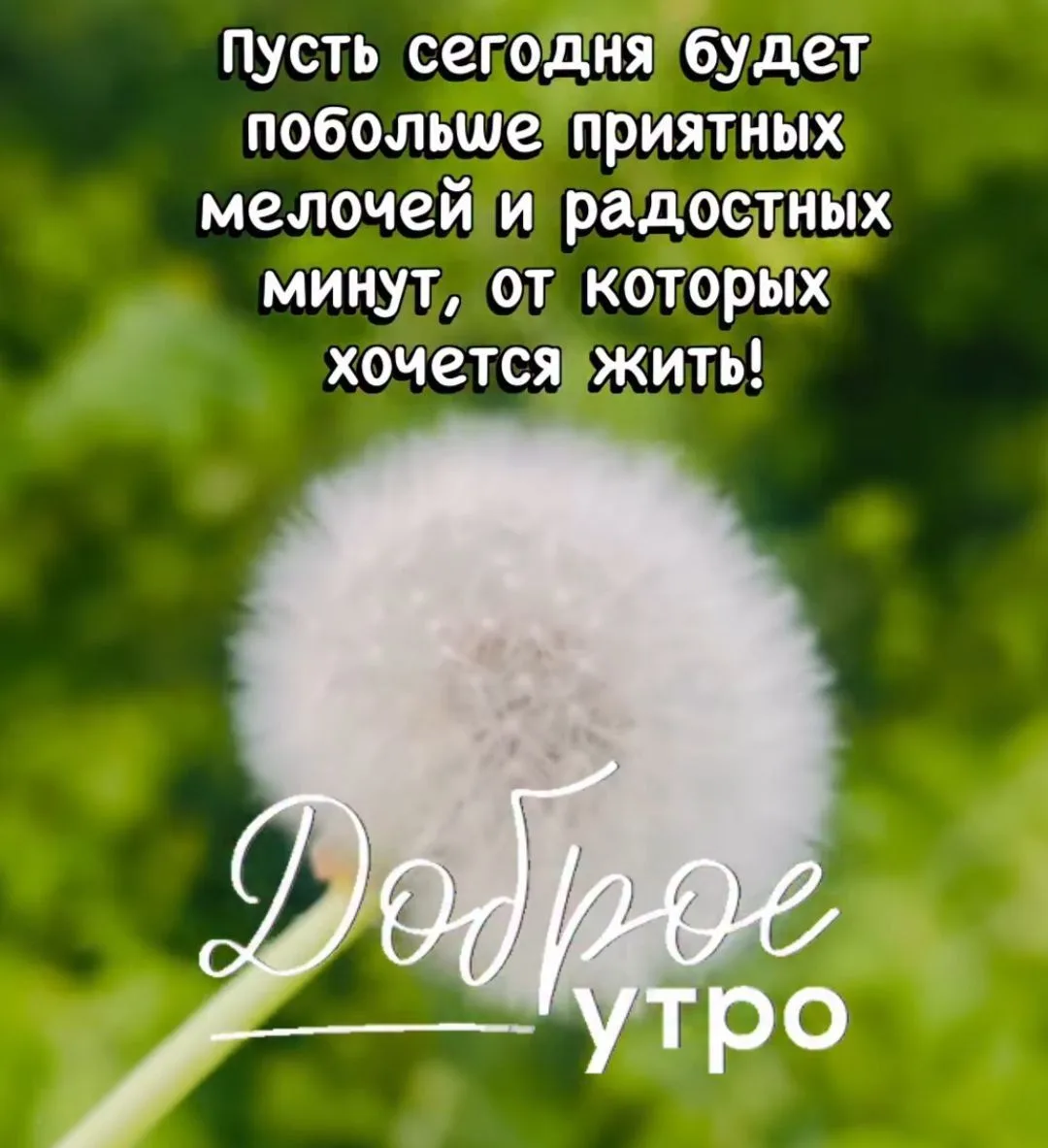 Доброе утро 🌞