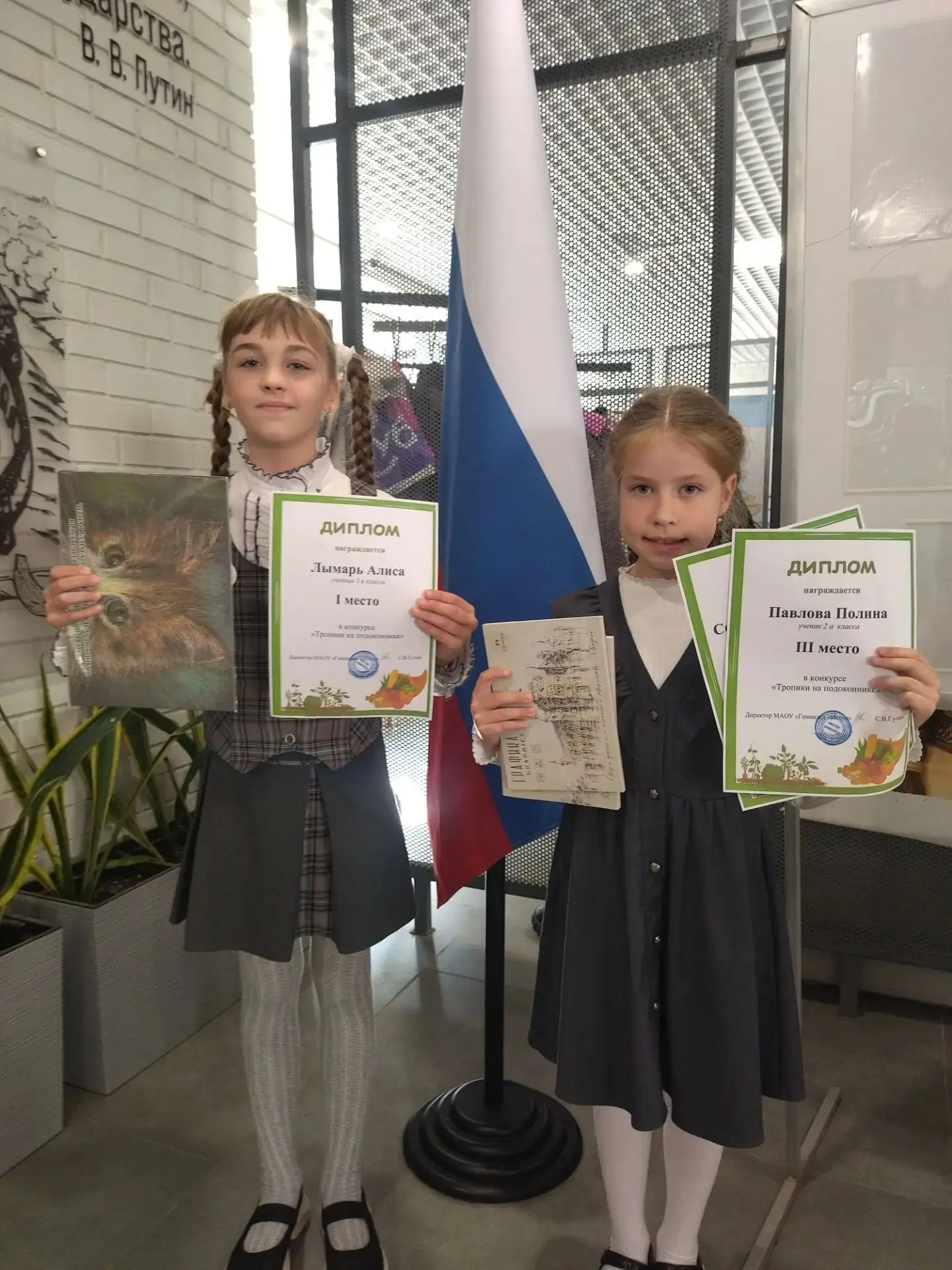 🌿 Тропики на подоконнике — и настоящие победители!
