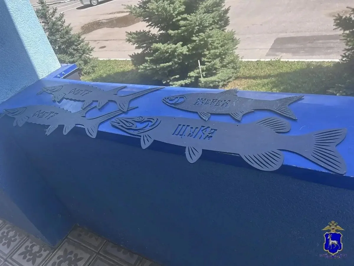 🤯 В Сызрани с пляжа украли 9 металлических рыб — декор с надписями «Щука», «Осетр», «С...