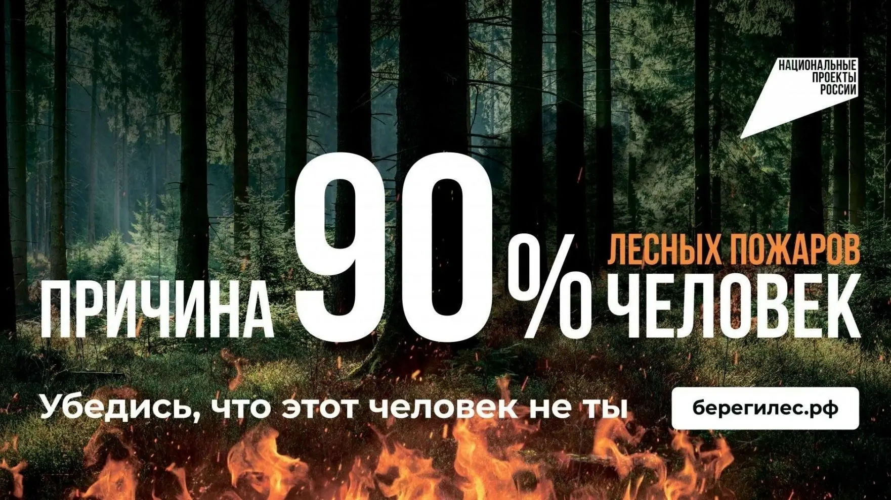СОХРАНИМ ЛЕС ВМЕСТЕ ❗

На сегодня особый противопожарный сезон установлен в более чем 50 регионах Ро