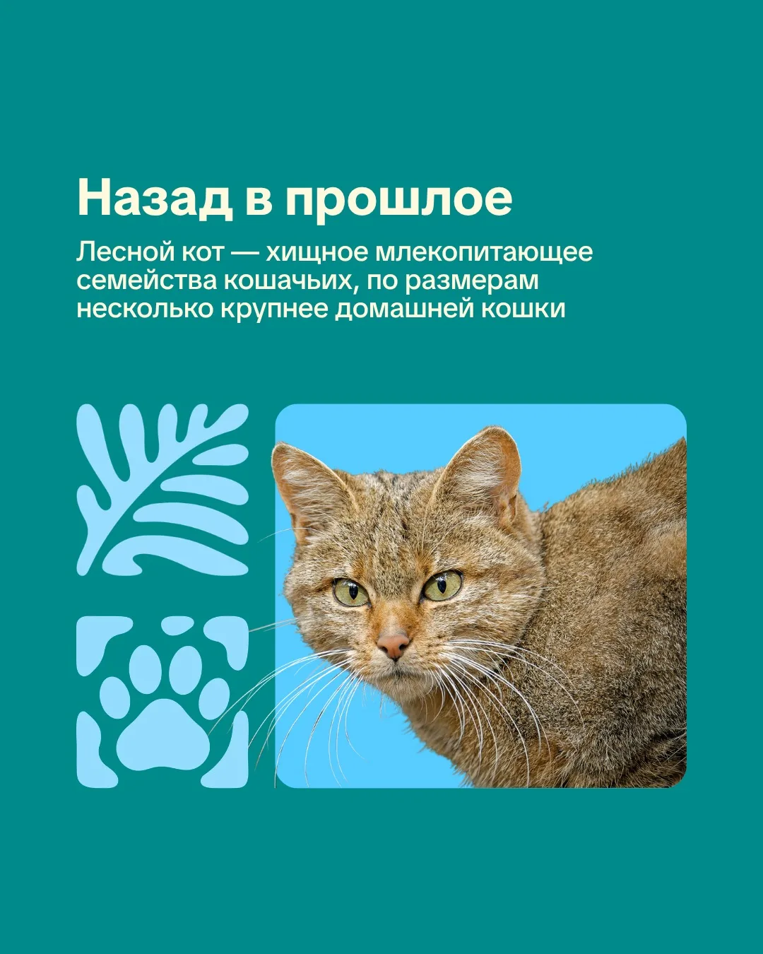 Новосибирский зоопарк. День в истории.