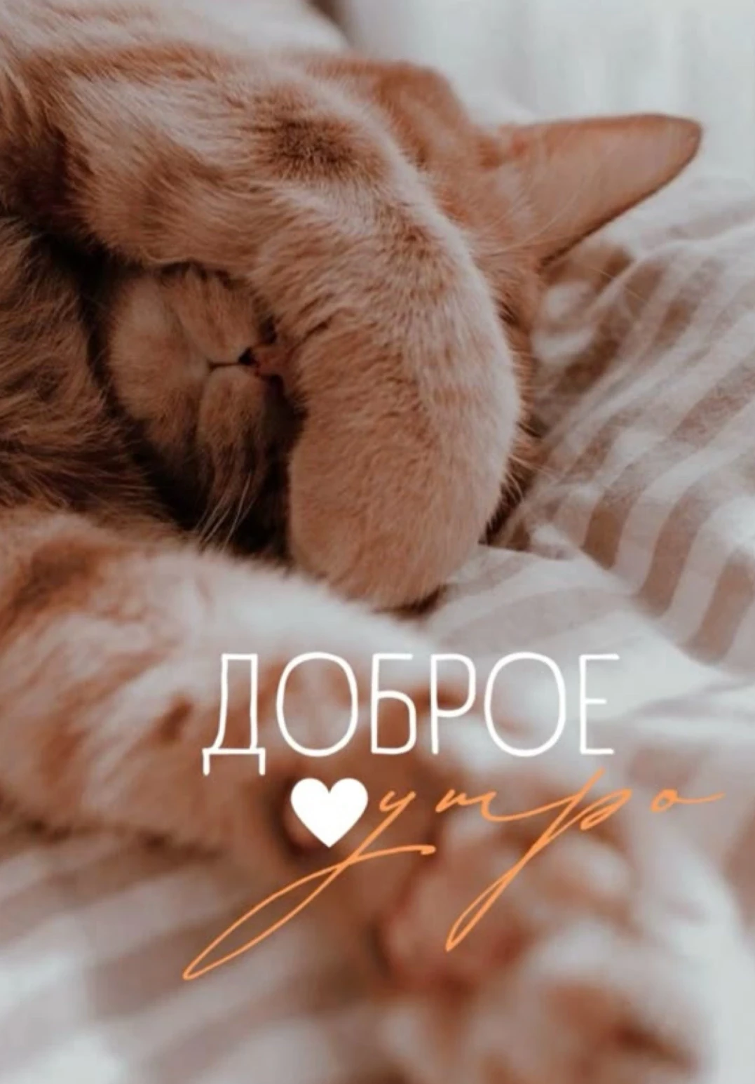 Доброе утро, Волжский МЭИ! ☕